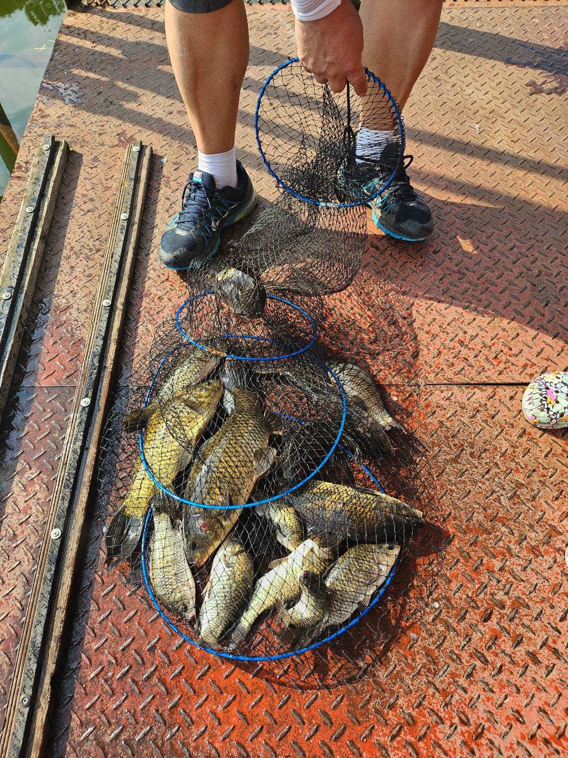 KakaoTalk_20250730_093359833.jpg