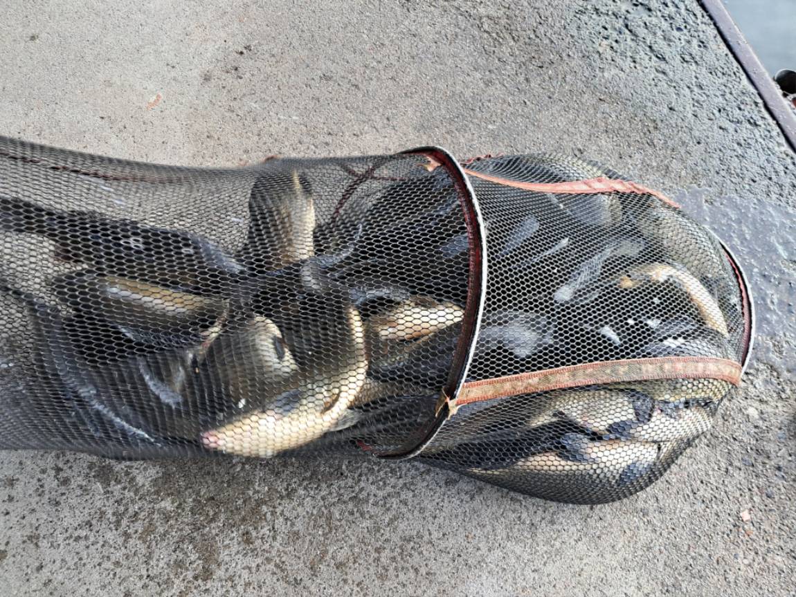 KakaoTalk_20250731_130210257_01 (1).jpg