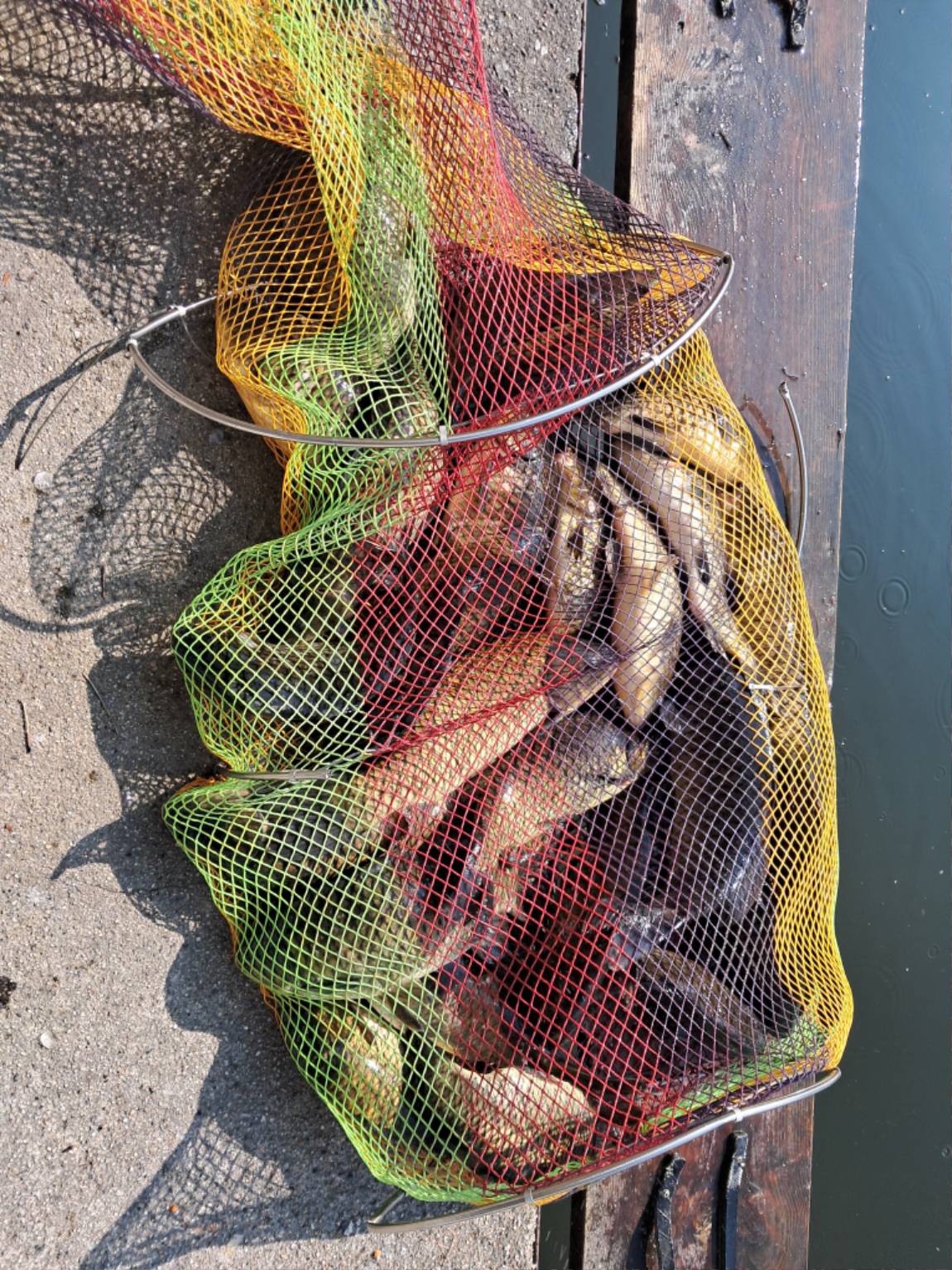 KakaoTalk_20250731_130210257_02 (1).jpg