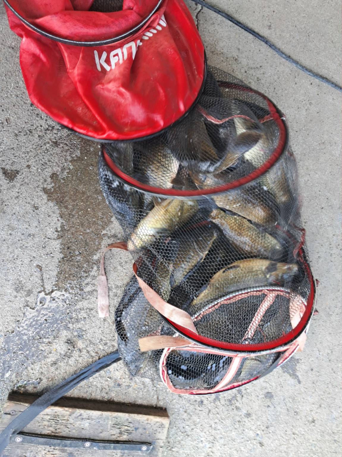 KakaoTalk_20250731_130210257_05 (1).jpg