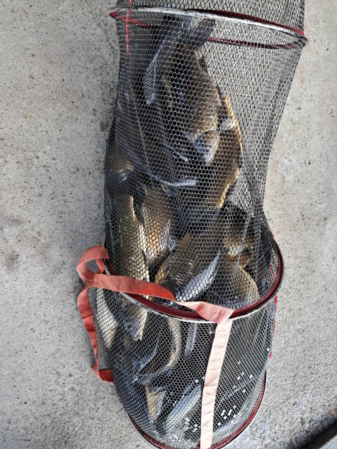 KakaoTalk_20250731_130210257 (1).jpg