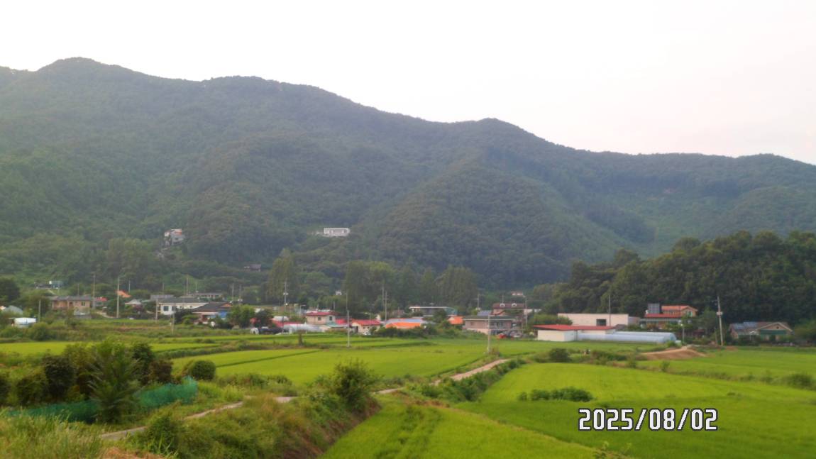 SAM_0640.JPG