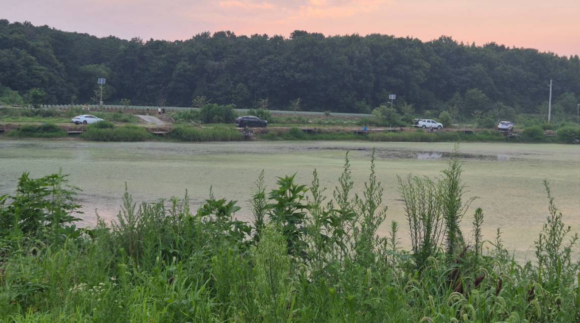 20250804_192434.jpg