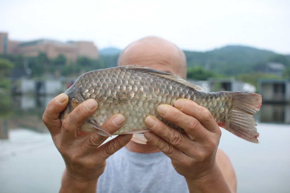 [크기변환]IMG_7570.JPG