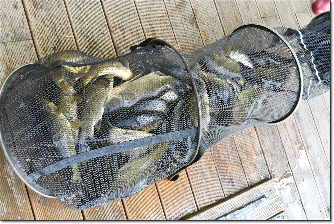 DSC_3949.JPG