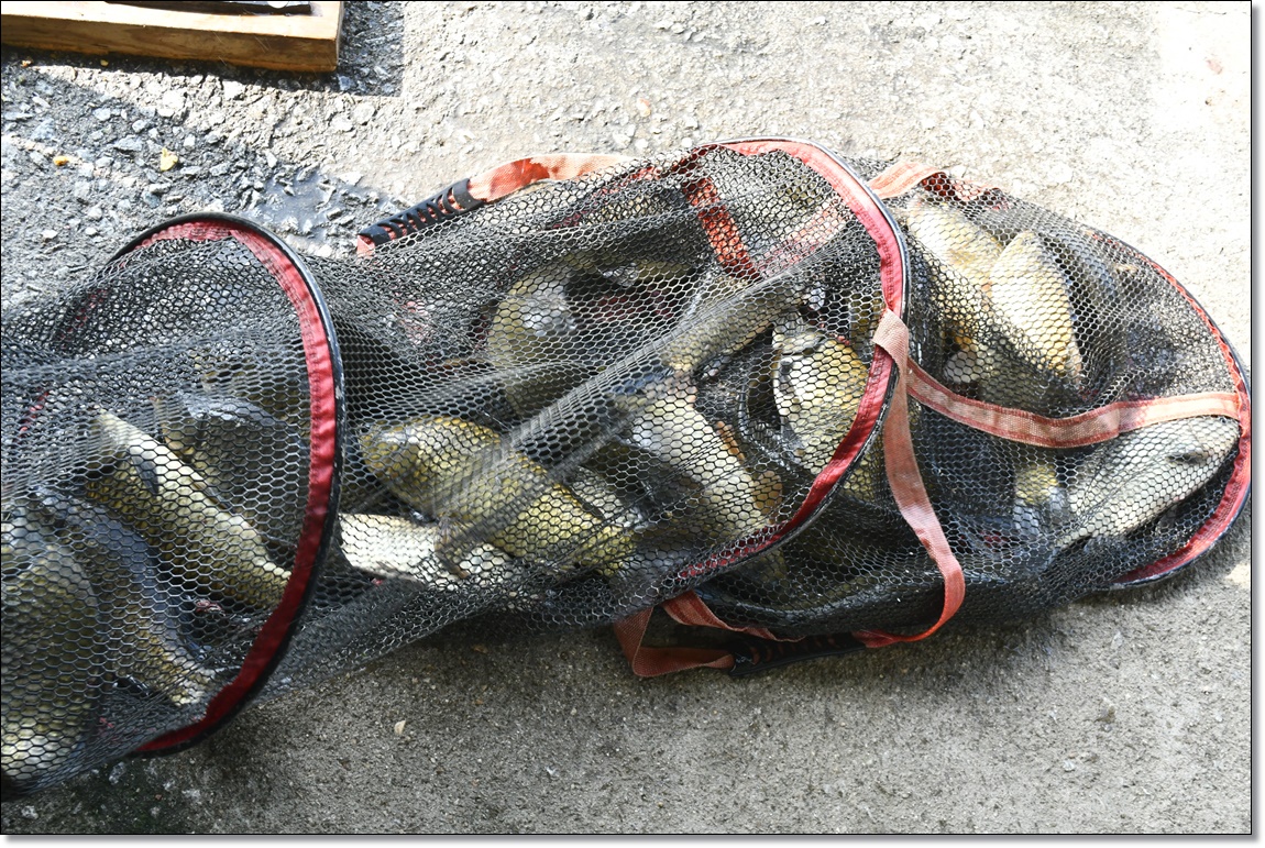 DSC_3956.JPG