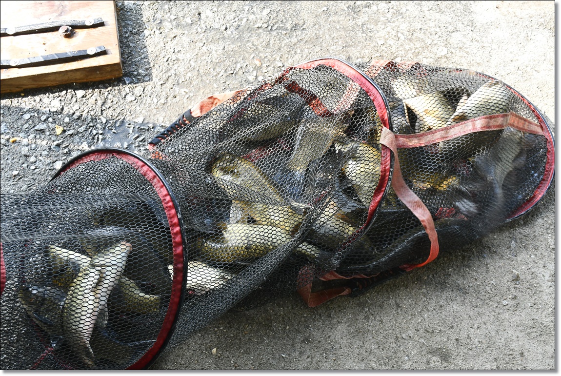 DSC_3955.JPG