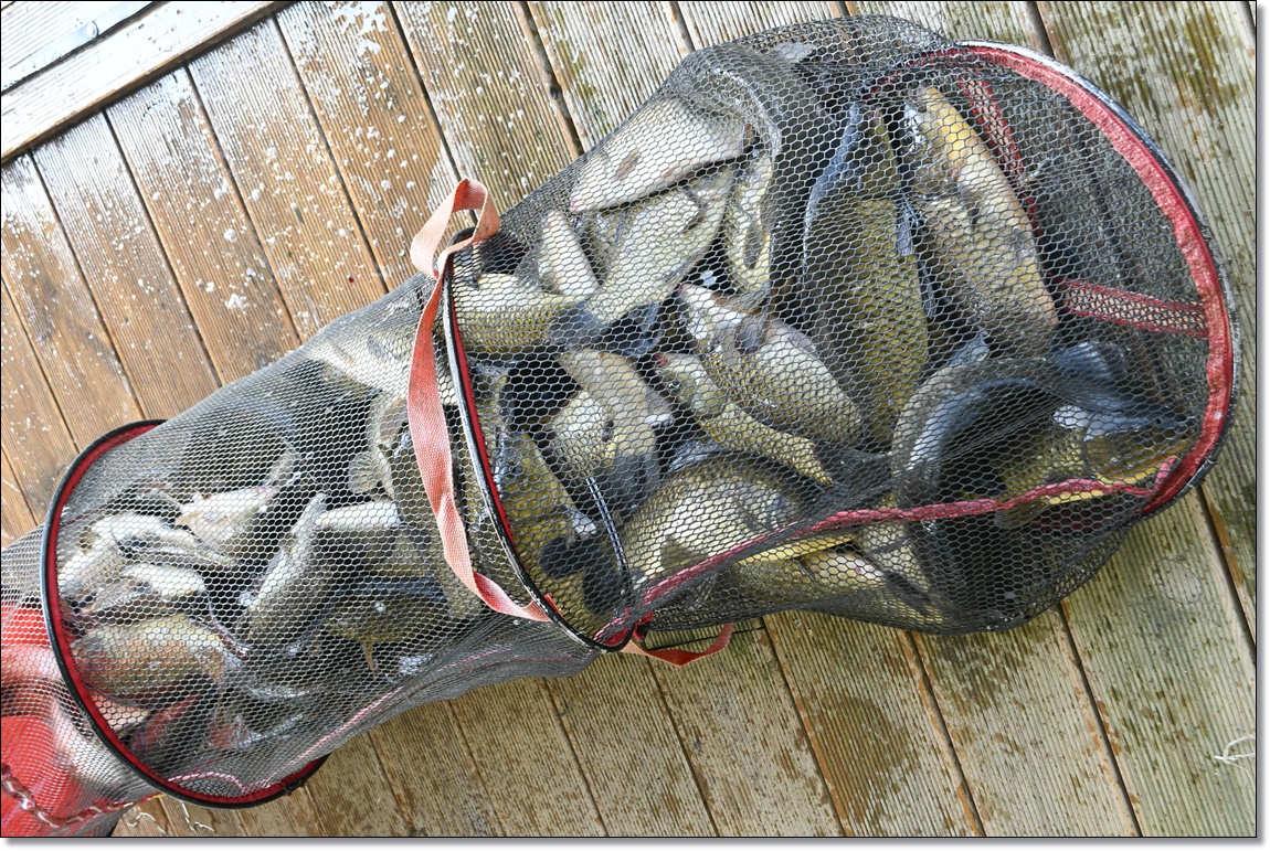DSC_3977.JPG