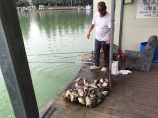 IMG_2628.jpg