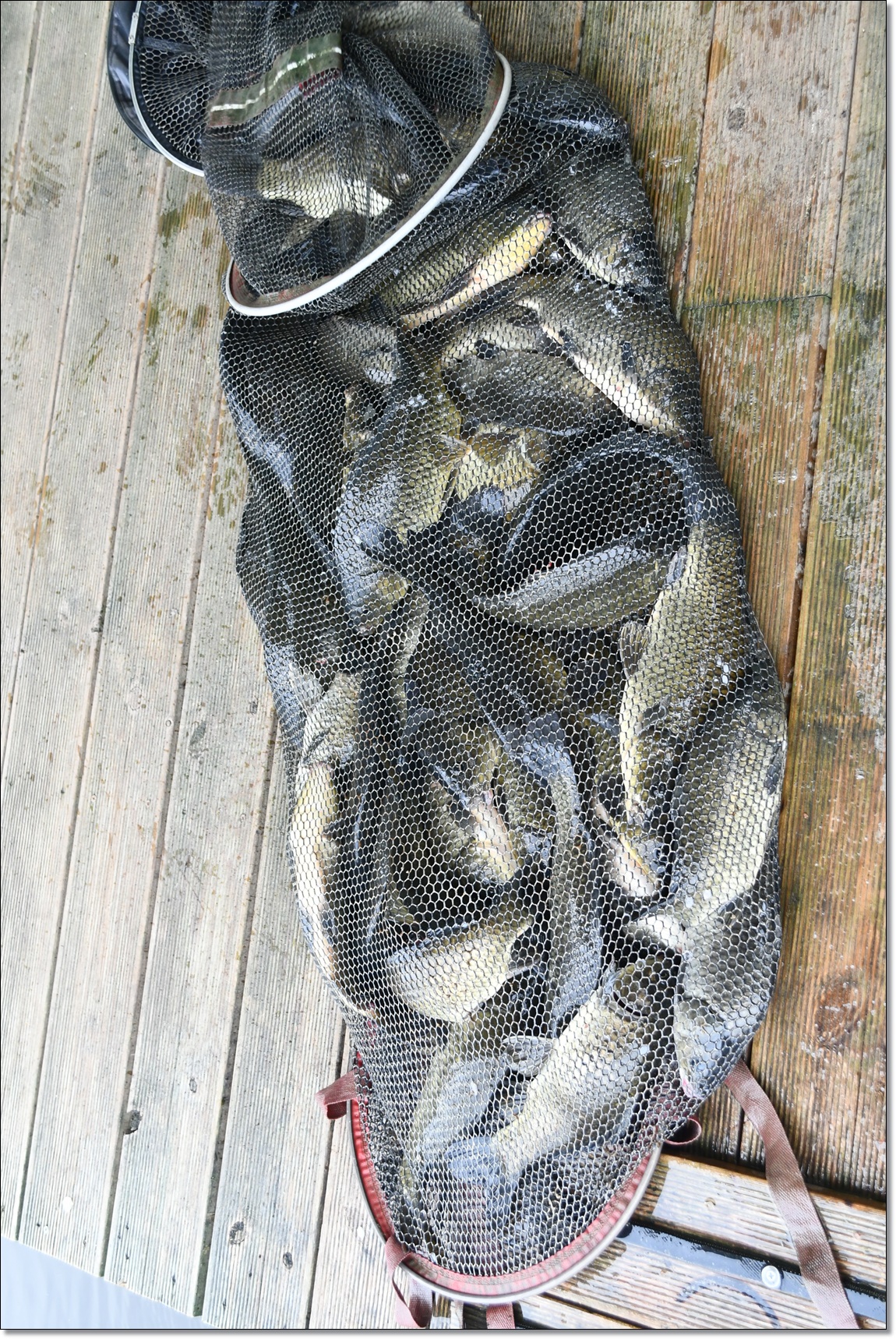 DSC_4028.JPG