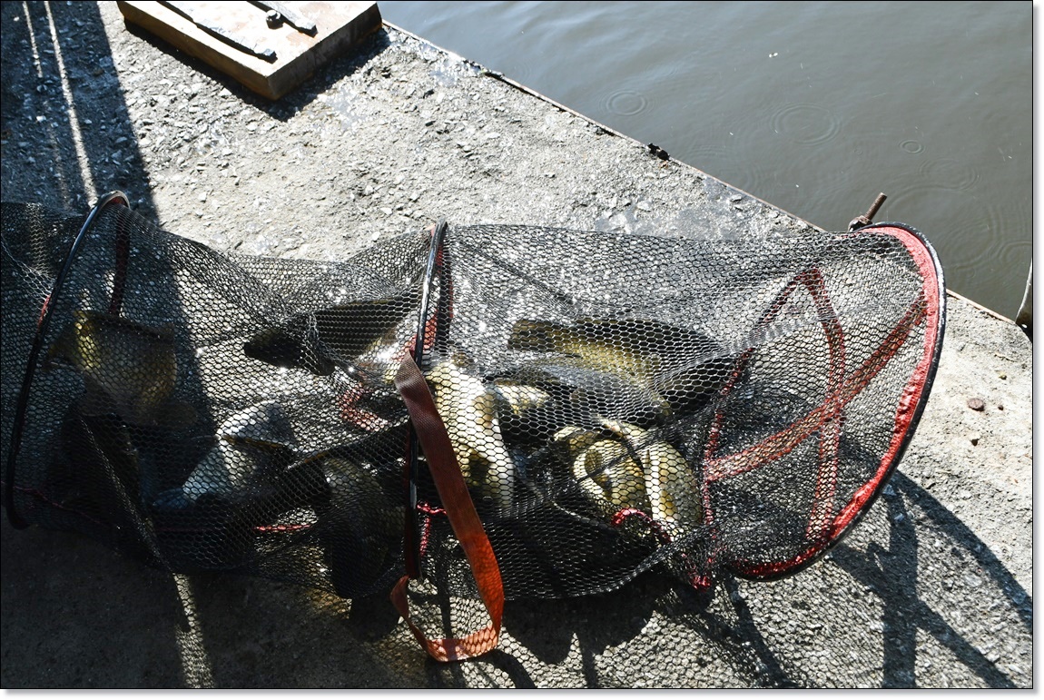 DSC_4059.JPG