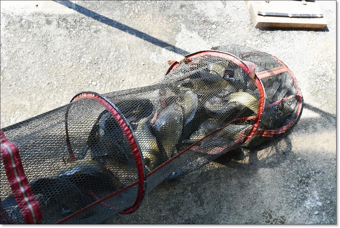 DSC_4073.JPG
