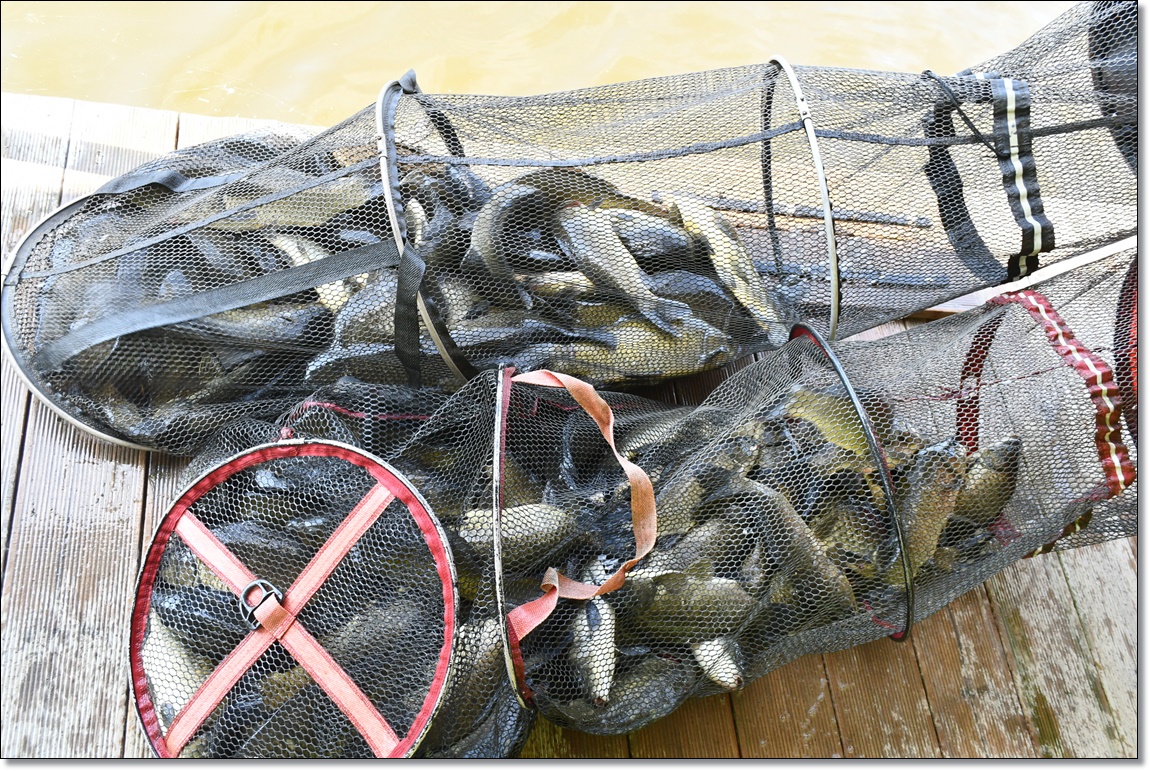 DSC_4093.JPG