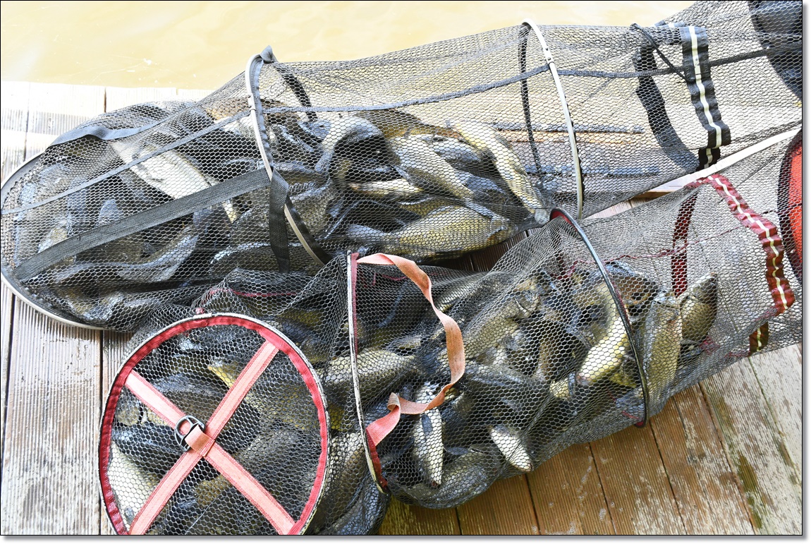 DSC_4094.JPG