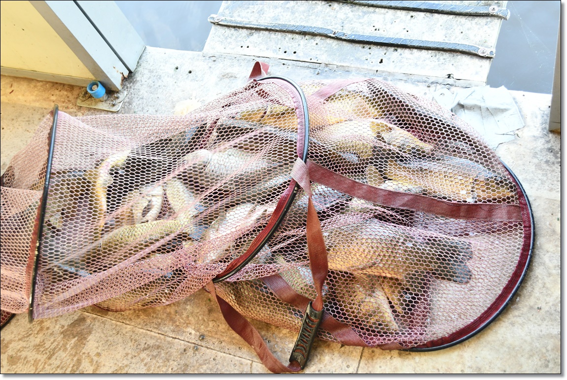 DSC_4099.JPG