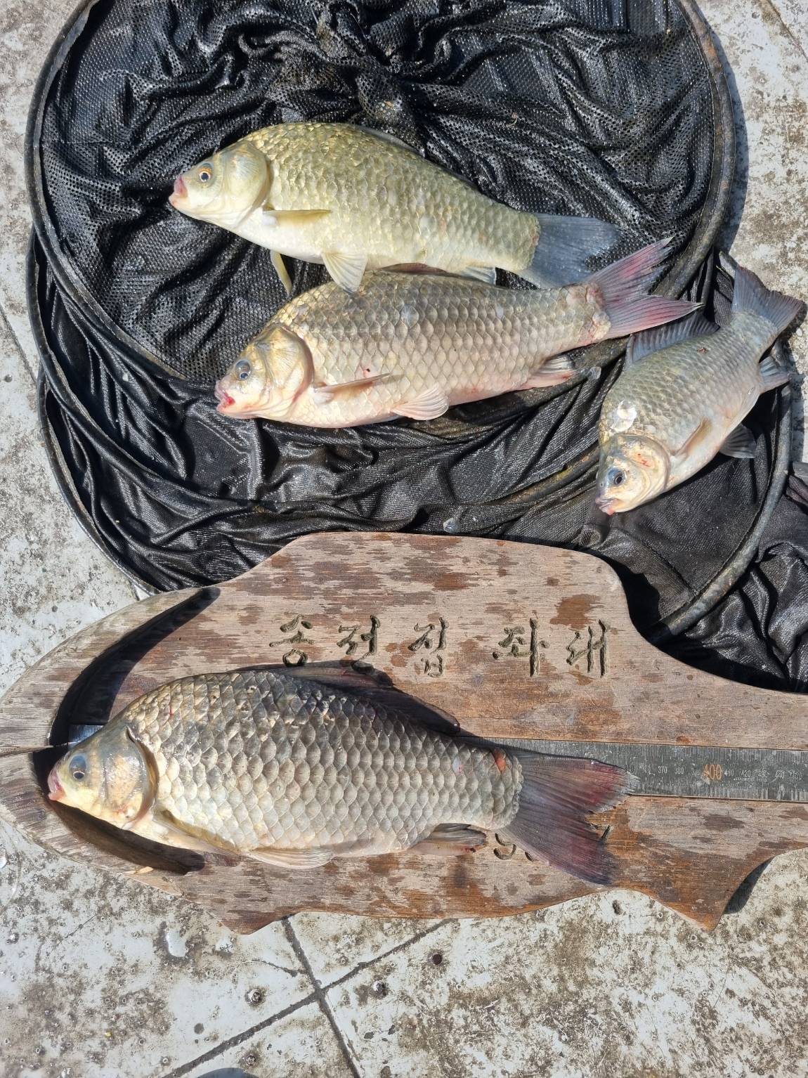 KakaoTalk_20250811_075707387_11.jpg