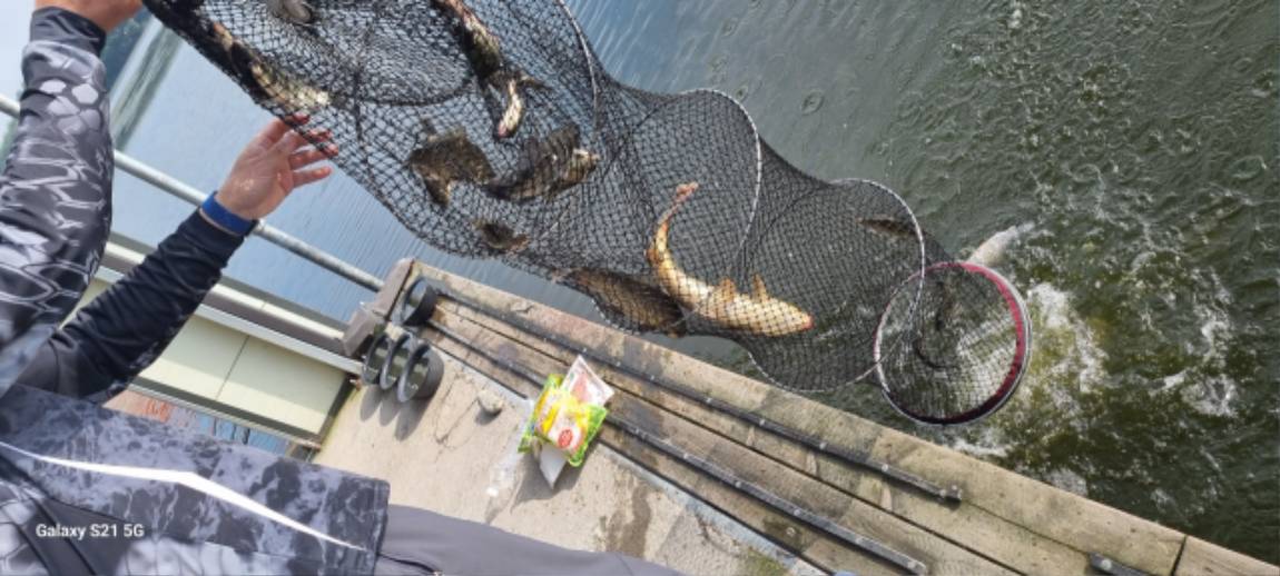 Resized_20250810_081050.jpeg