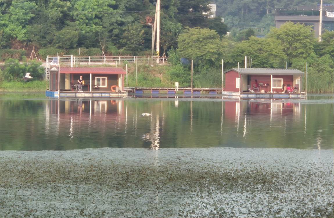 20250805_064523.jpg