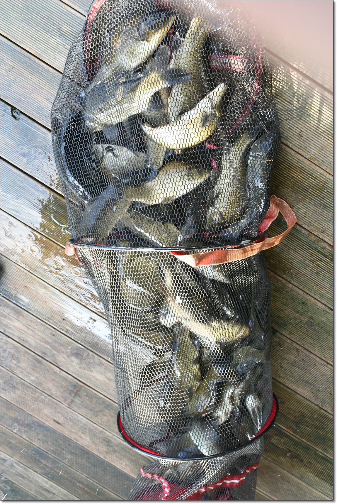 DSC_4195.JPG