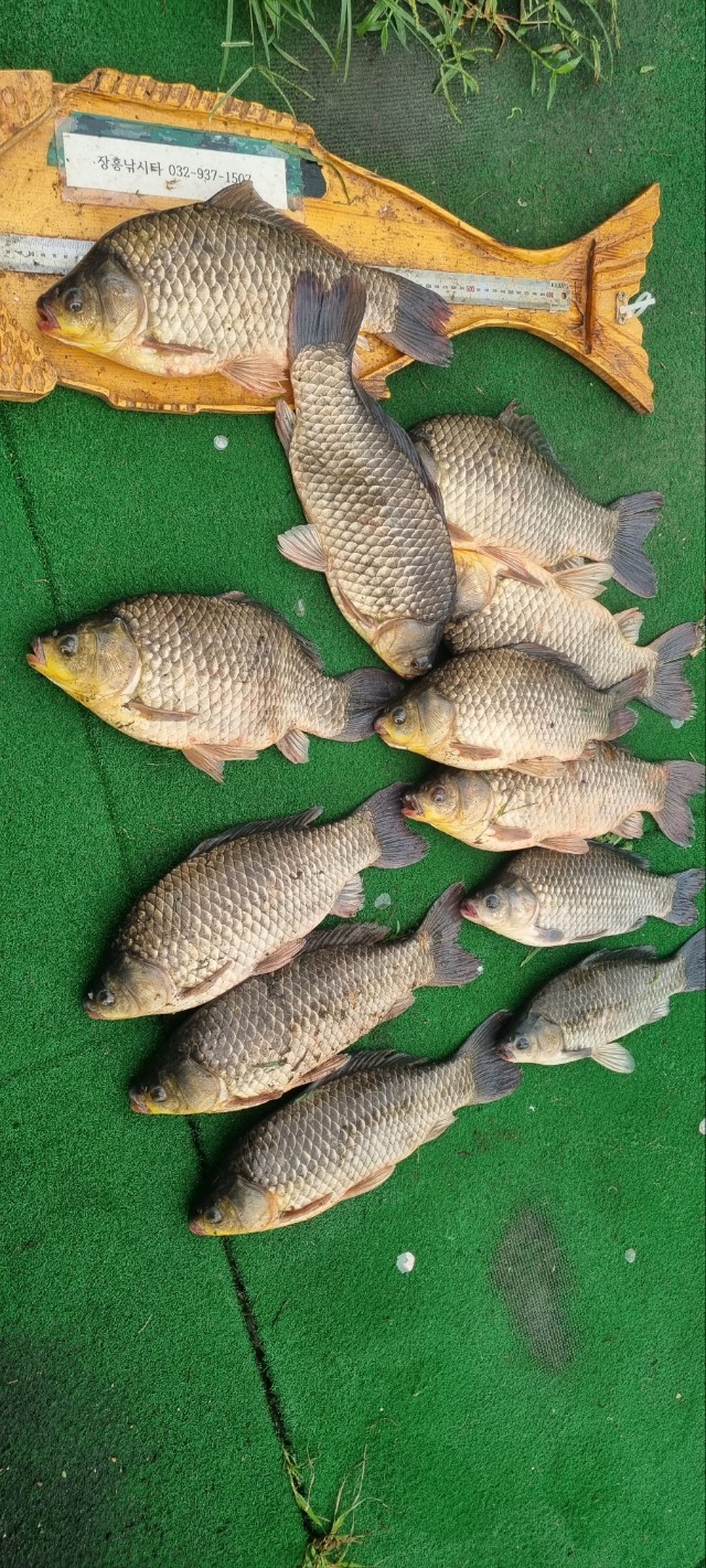 KakaoTalk_20250816_094652561.jpg