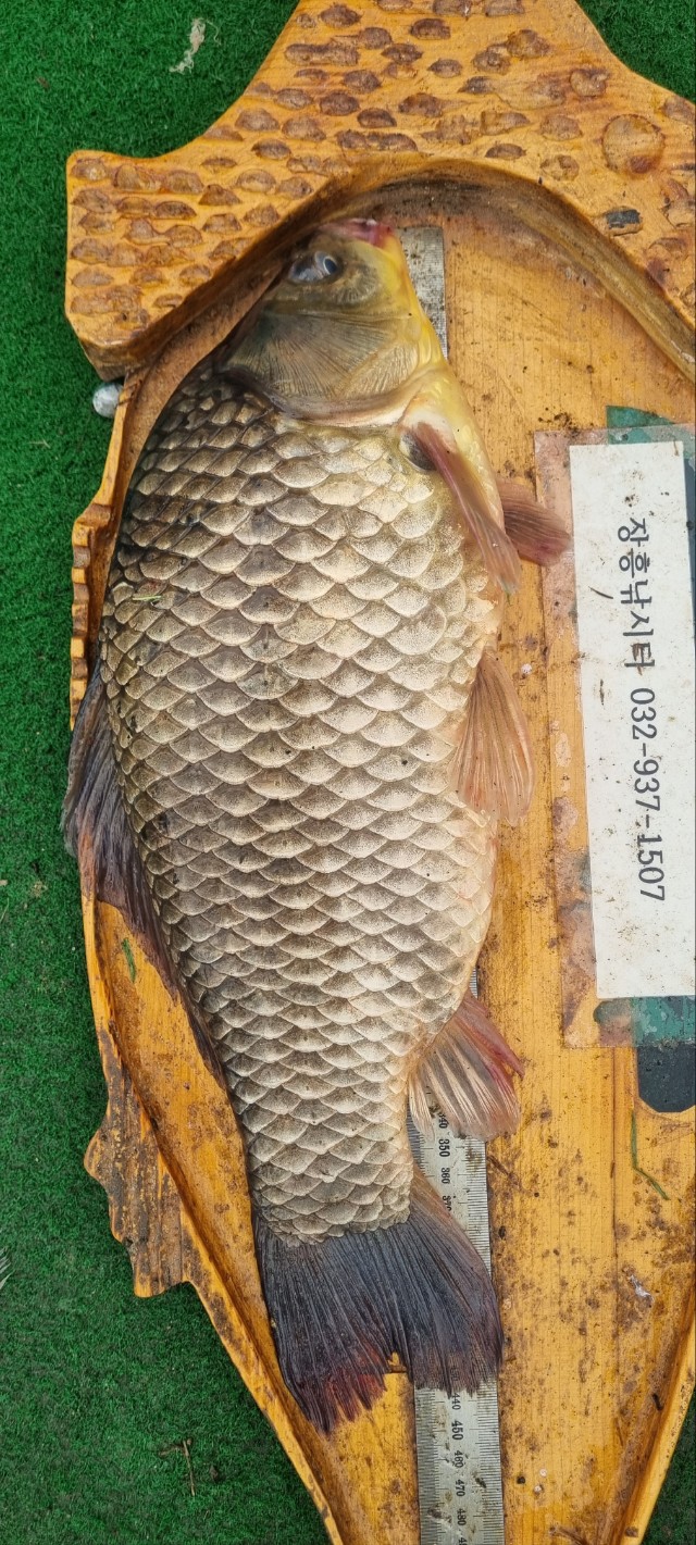 KakaoTalk_20250816_094715569.jpg