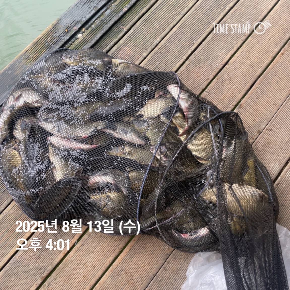 KakaoTalk_20250817_145907475_06.jpg