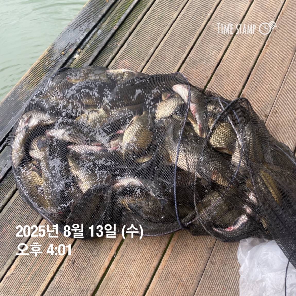KakaoTalk_20250817_145907475_07.jpg