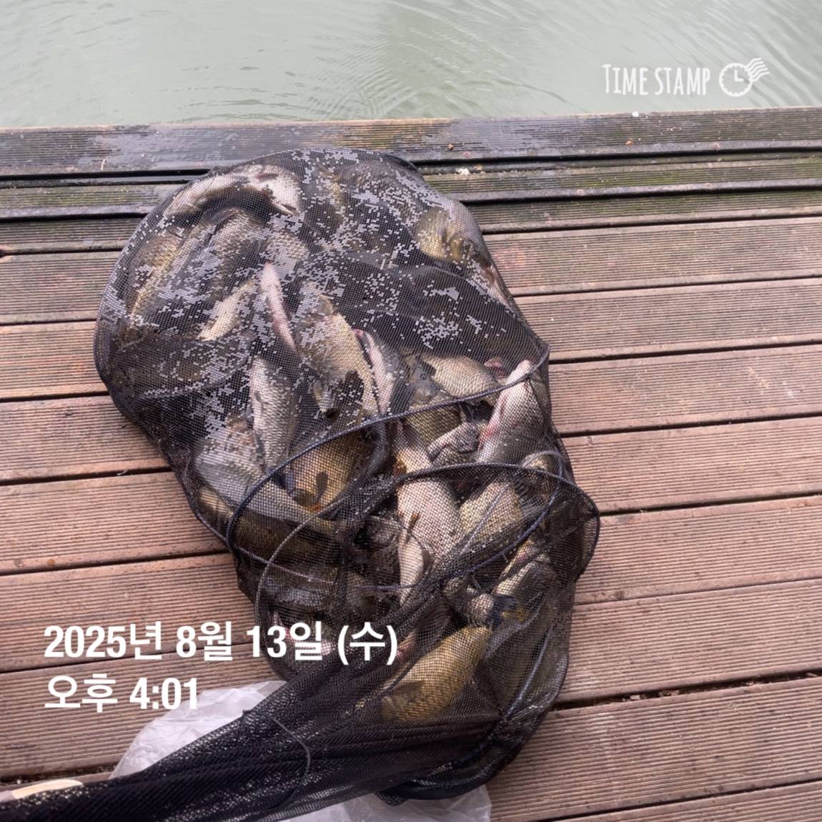 KakaoTalk_20250817_145907475_08.jpg