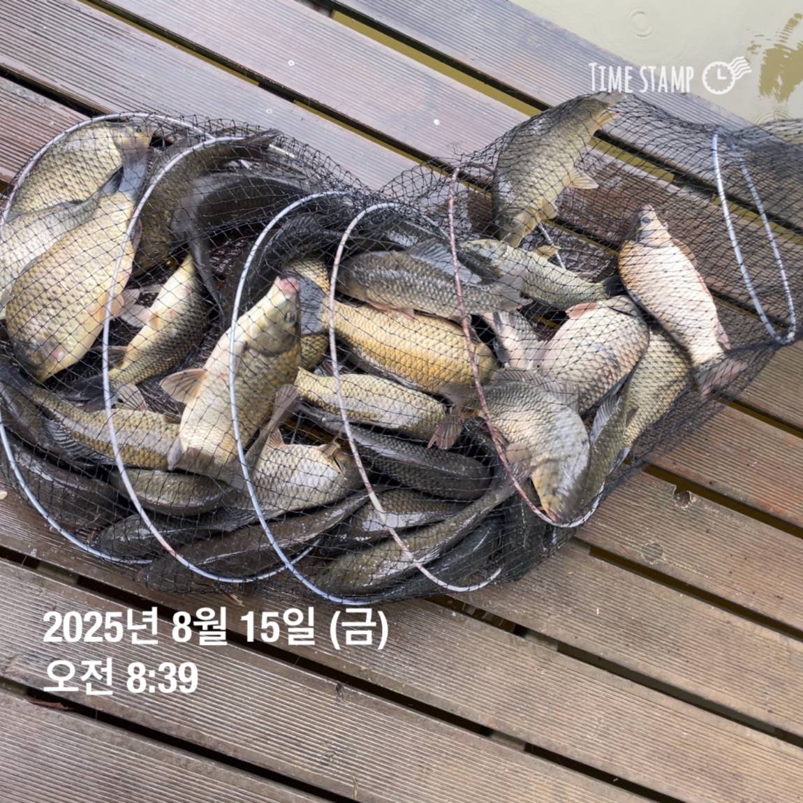 KakaoTalk_20250817_145907475_10.jpg