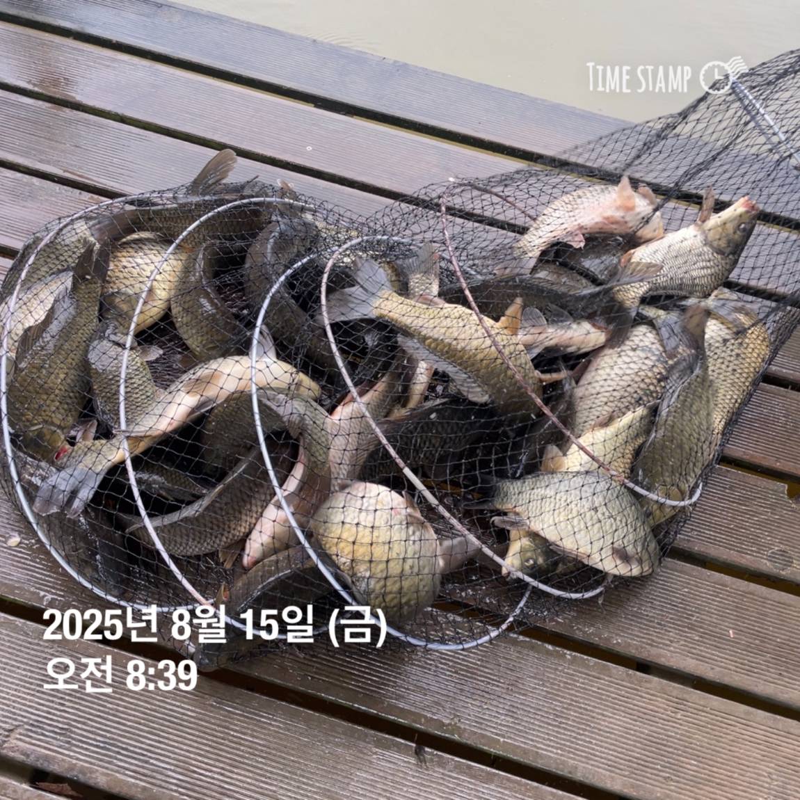 KakaoTalk_20250817_145907475_11.jpg