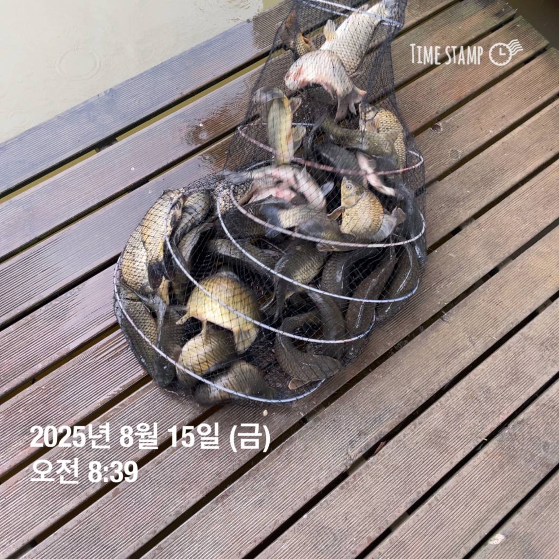 KakaoTalk_20250817_145907475_12.jpg