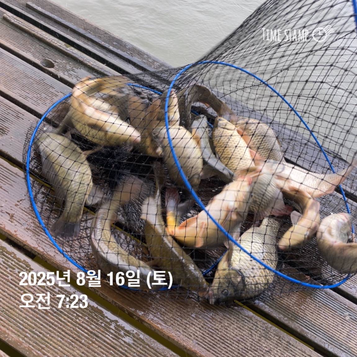 KakaoTalk_20250817_145907475_14.jpg