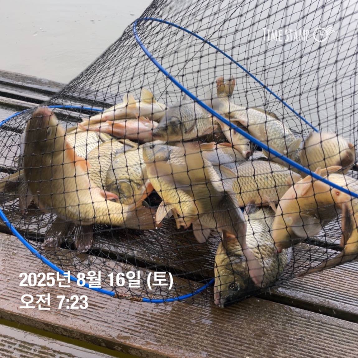 KakaoTalk_20250817_145907475_16.jpg
