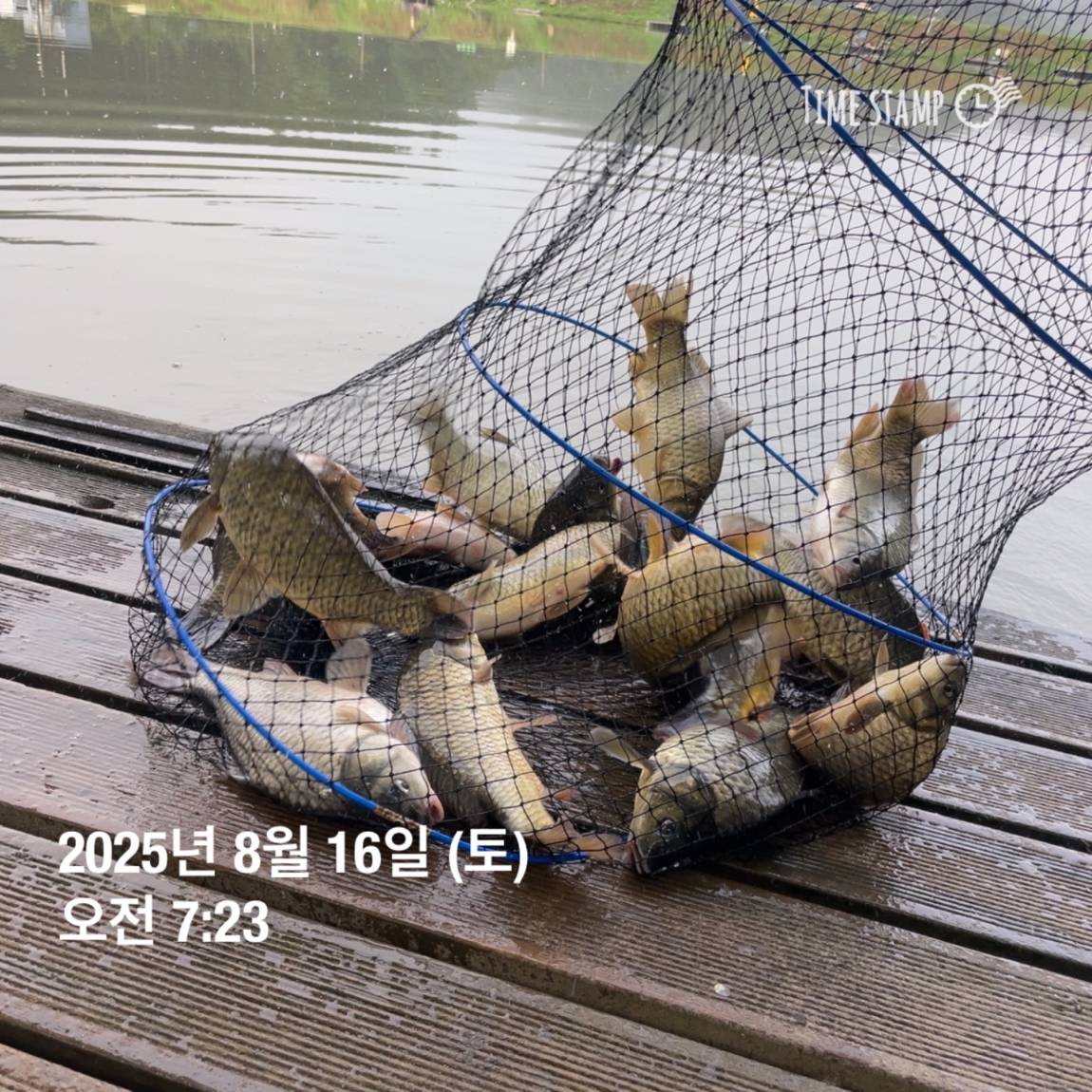 KakaoTalk_20250817_145907475_15.jpg