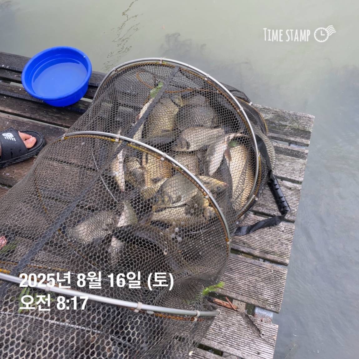 KakaoTalk_20250817_145907475_17.jpg