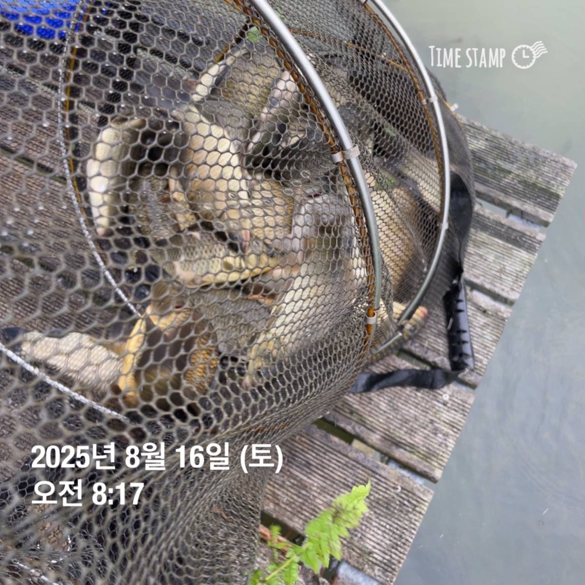 KakaoTalk_20250817_145907475_18.jpg