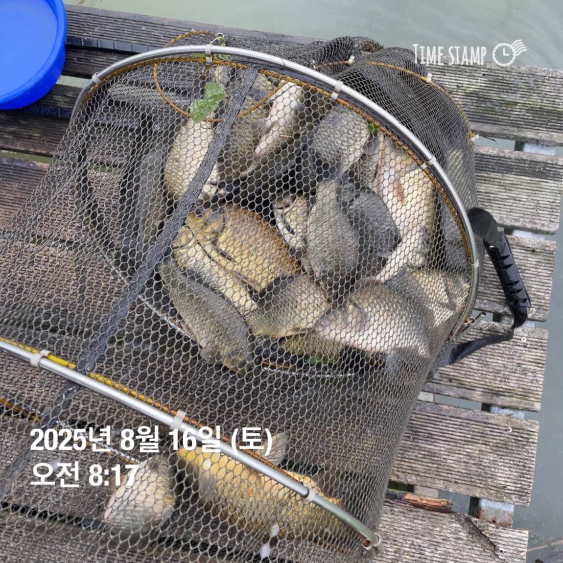 KakaoTalk_20250817_145907475_19.jpg