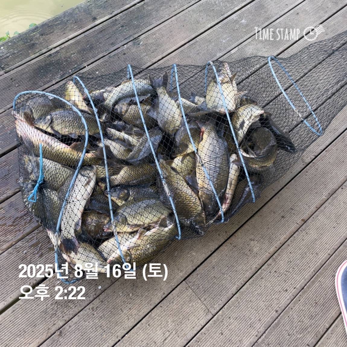 KakaoTalk_20250817_145907475_24.jpg