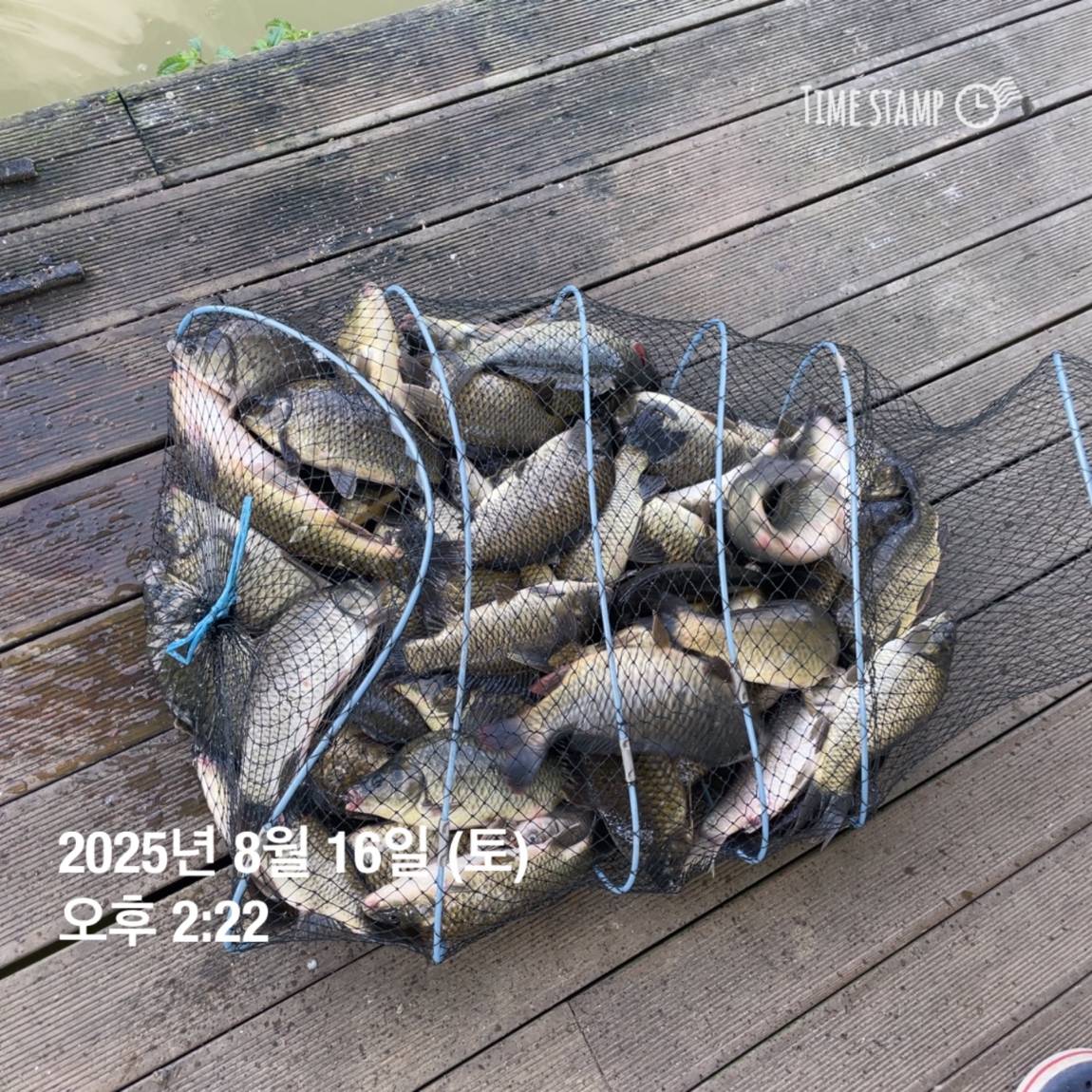 KakaoTalk_20250817_145907475_25.jpg