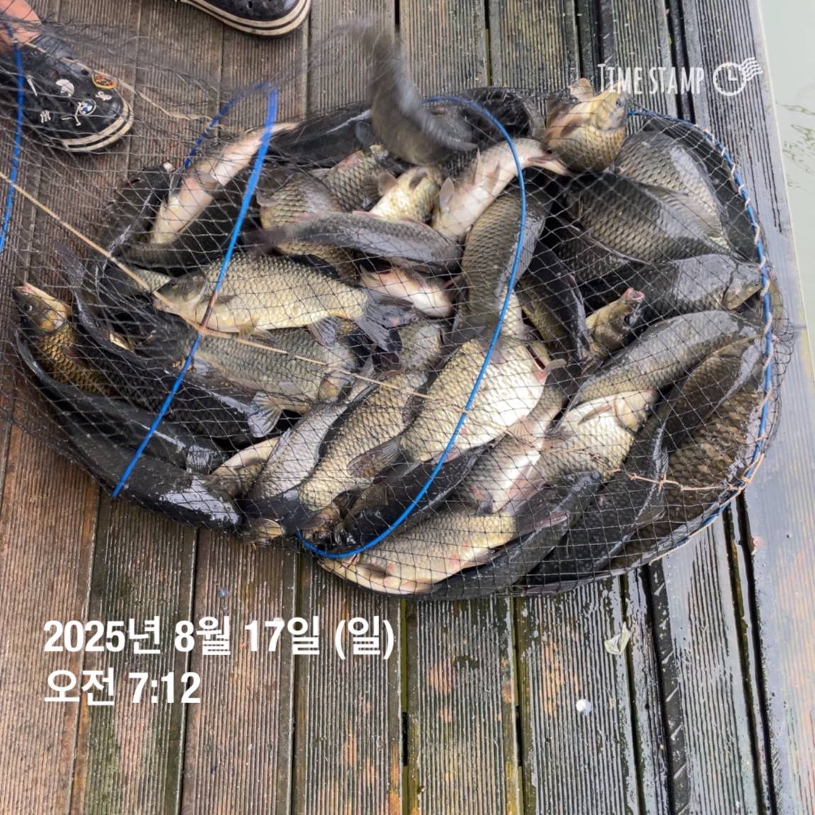 KakaoTalk_20250817_145907475_28.jpg