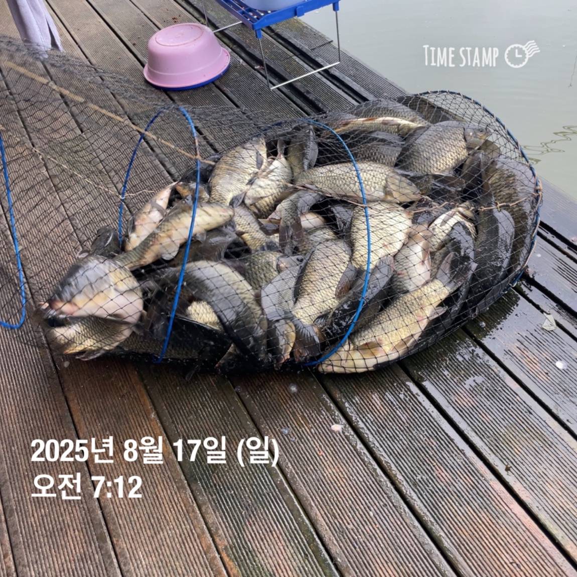 KakaoTalk_20250817_145913188.jpg