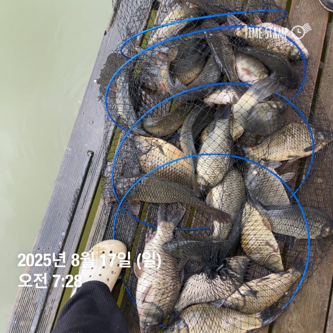 KakaoTalk_20250817_145913188_04.jpg
