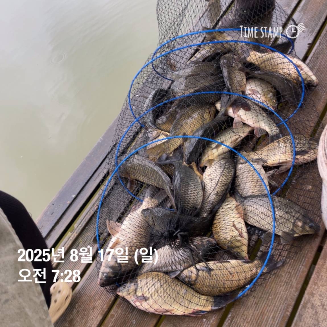 KakaoTalk_20250817_145913188_03.jpg