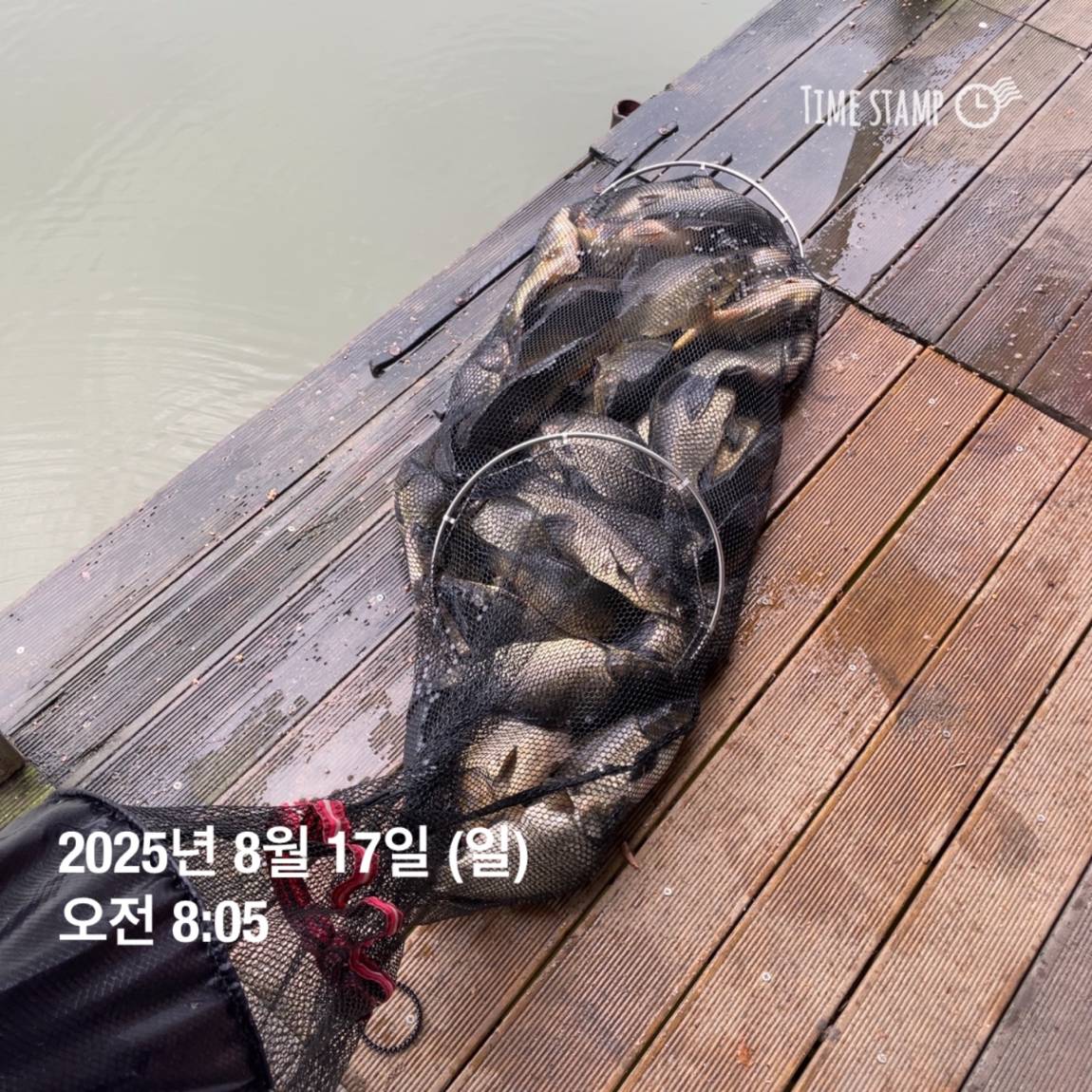 KakaoTalk_20250817_145913188_06.jpg