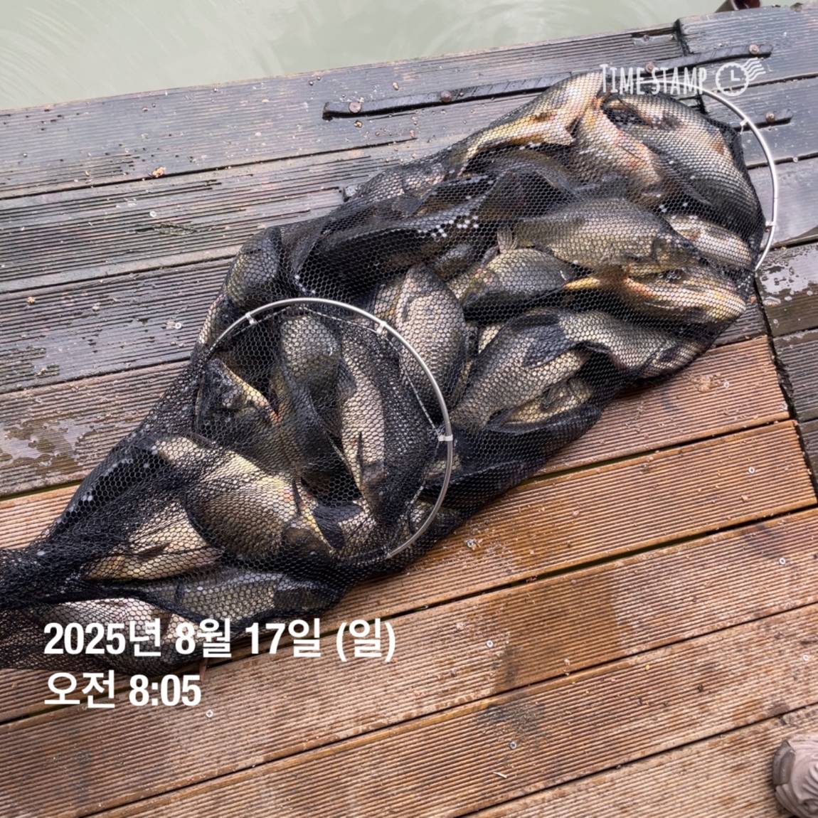 KakaoTalk_20250817_145913188_07.jpg