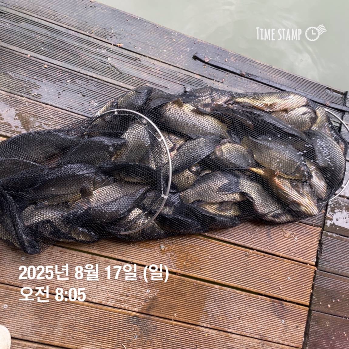 KakaoTalk_20250817_145913188_08.jpg