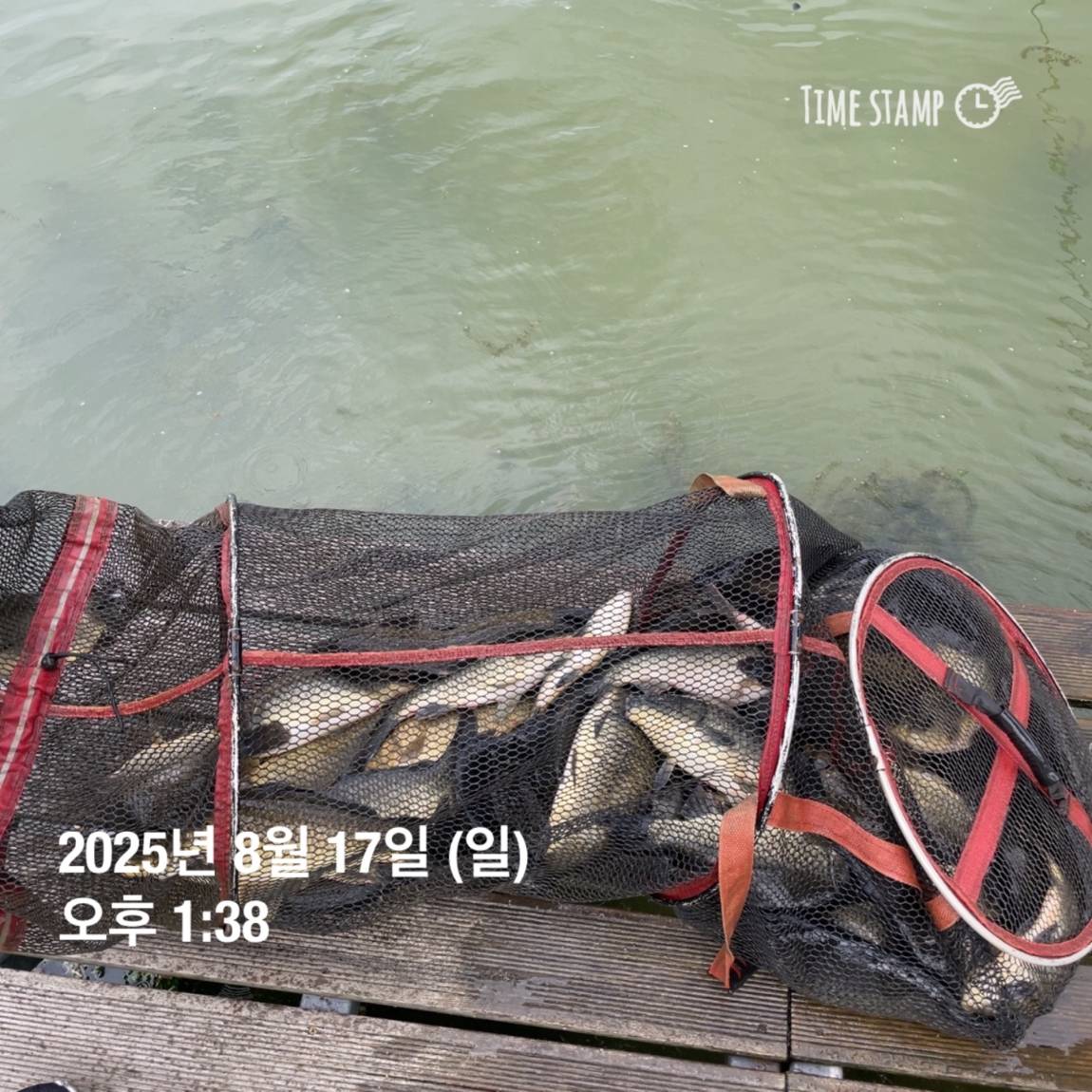KakaoTalk_20250817_145913188_11.jpg