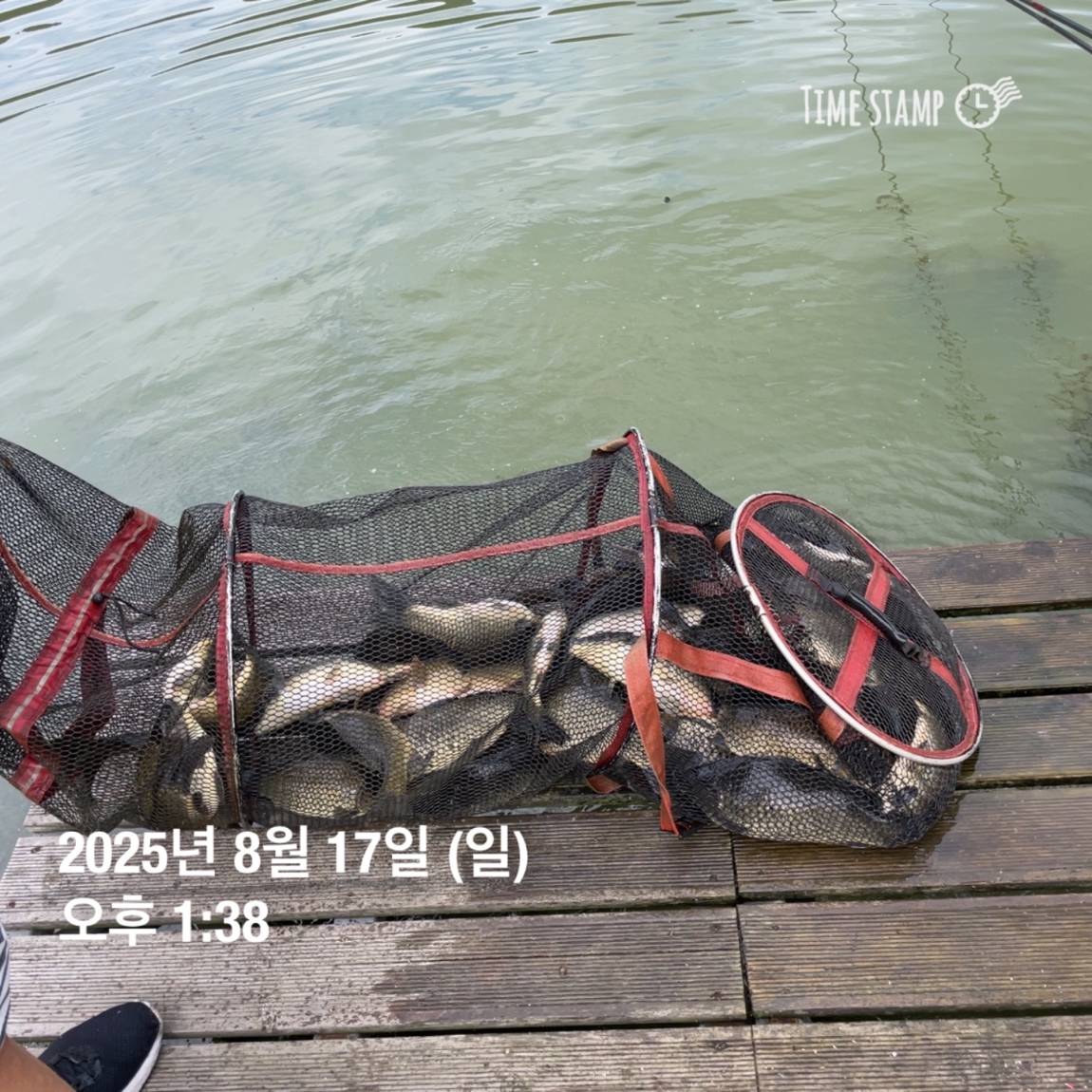 KakaoTalk_20250817_145913188_10.jpg