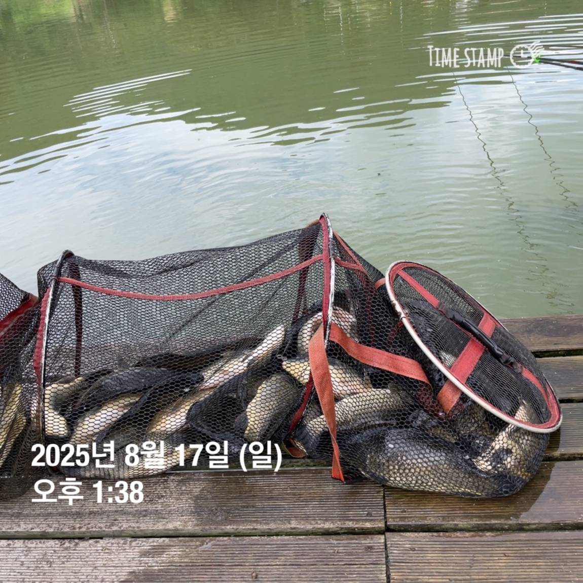 KakaoTalk_20250817_145913188_12.jpg