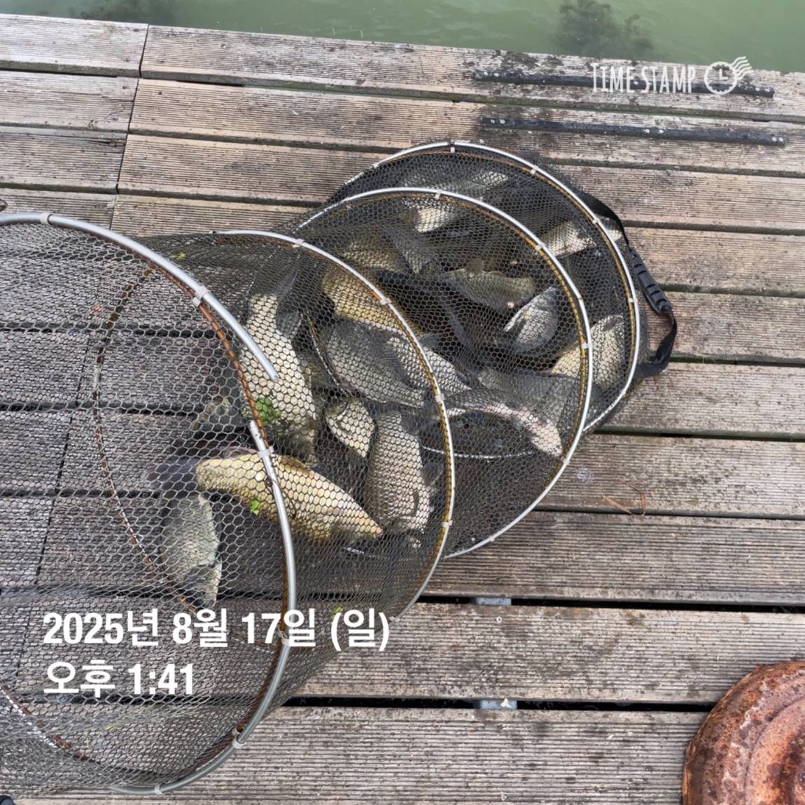KakaoTalk_20250817_145913188_13.jpg